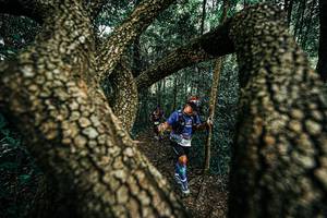 BIB: 
                            <button type="button" onclick="openModal(25394274)" class="btn btn-primary btn-sm float-right btn-popup" data-toggle="modal" data-target=".modal-high-quality">
                        <i class="fas fa-shopping-cart"></i> Add to Cart
                    </button>
                                            <button type="button" onclick="isThisMe(25394274, true)" class="btn btn-success btn-sm float-right btn-popup btn-isme hidden" data-toggle="tooltip" data-placement="bottom" title="นี่คือรูปของคุณใช่ไหม คลิกที่นี่เพื่อเอาเข้าอัลบั้ม">
                        <i class="fas fa-plus"></i> Add to album
                    </button>
                    <button type="button" onclick="isThisMe(25394274, false)" class="btn btn-warning btn-sm float-right btn-popup btn-isnotme hidden">
                        <i class="fas fa-ban"></i> Remove from album
                    </button>